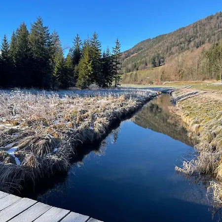 Seelenbaumlerin * Schliersee
