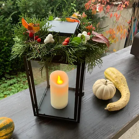 Seelenbaumlerin Schliersee