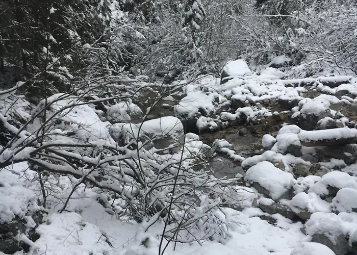 Seelenbaumlerin Pansiyon Schliersee