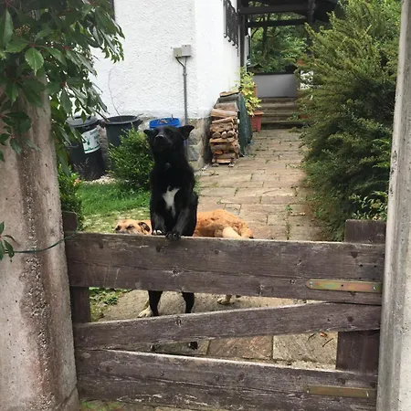 Homestay szállás Seelenbaumlerin *