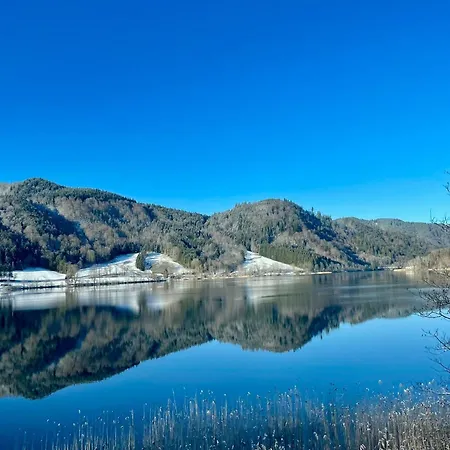 Seelenbaumlerin Schliersee