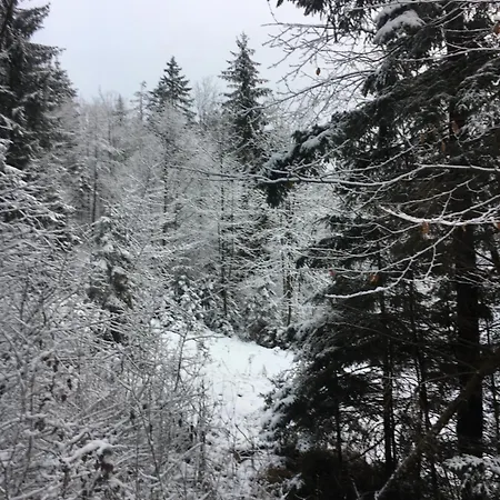 Seelenbaumlerin *