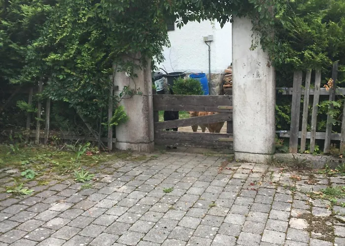 Seelenbaumlerin *