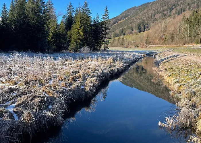 Seelenbaumlerin * Schliersee