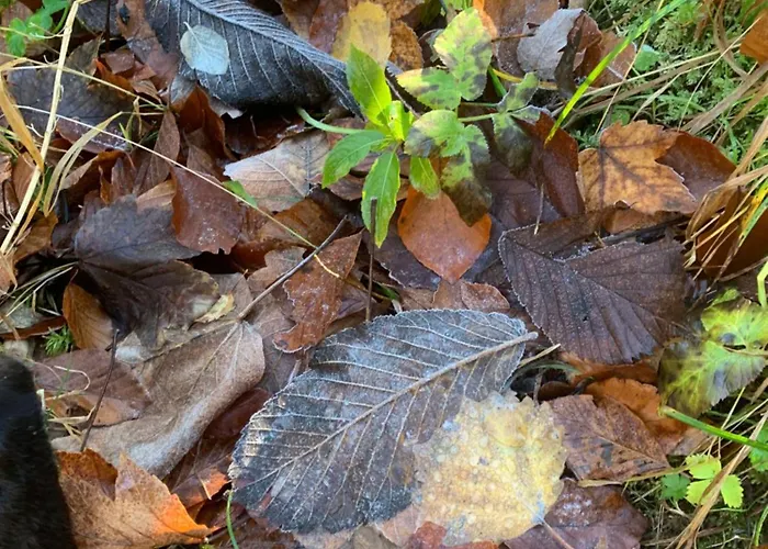 Seelenbaumlerin Séjour chez l'habitant Schliersee